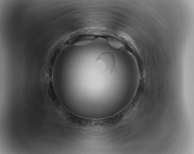 X0000088861064200706081149