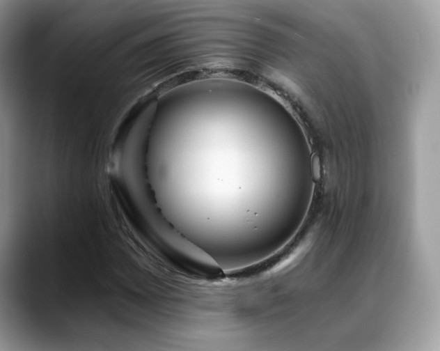 X0000088861065200706081149