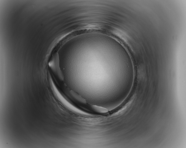 X0000088861066200706081149