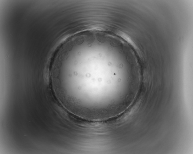 X0000088861067200706081149