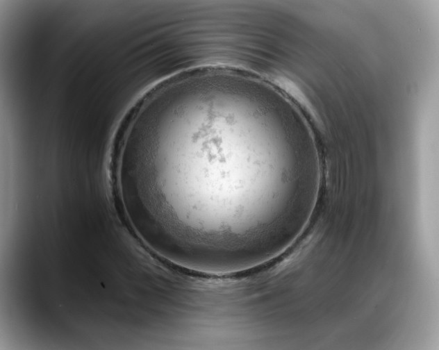 X0000088861068200706081149
