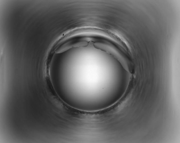 X0000088861069200706081149