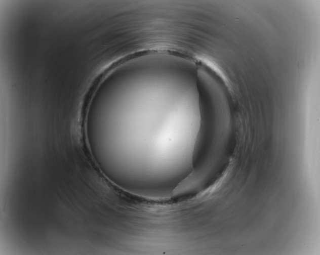 X0000088861071200706081149