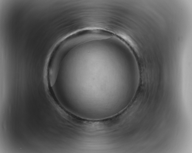 X0000088861072200706081149