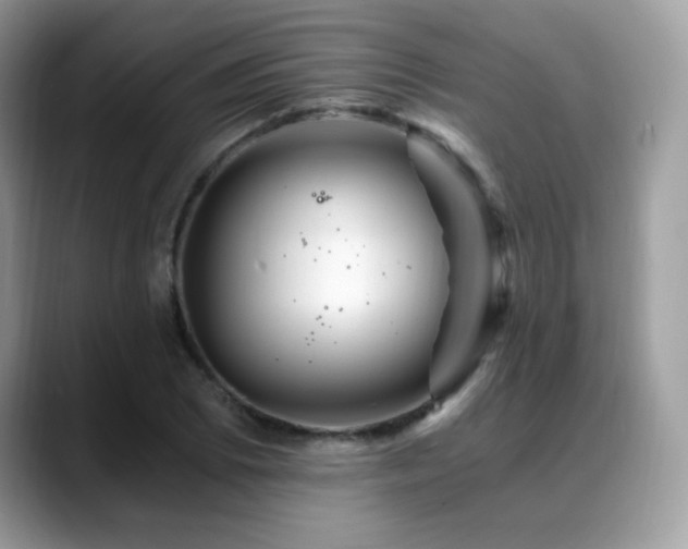 X0000088861073200706081149