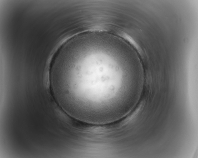 X0000088861075200706081148