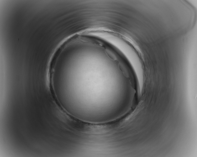 X0000088861076200706081148