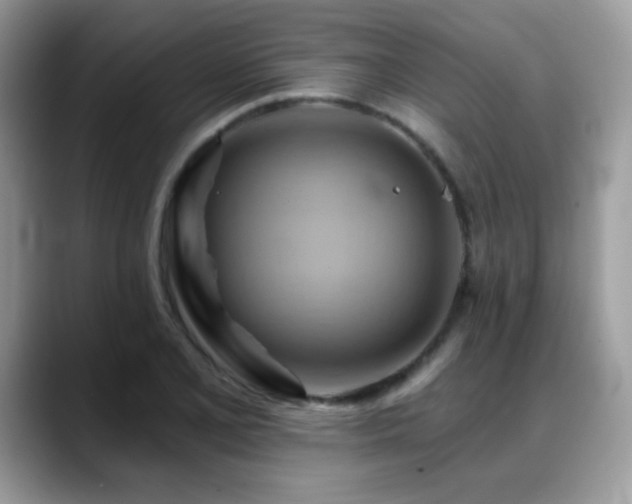 X0000088861077200706081148