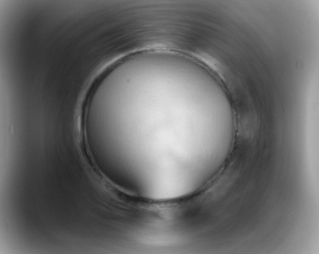 X0000088861078200706081148