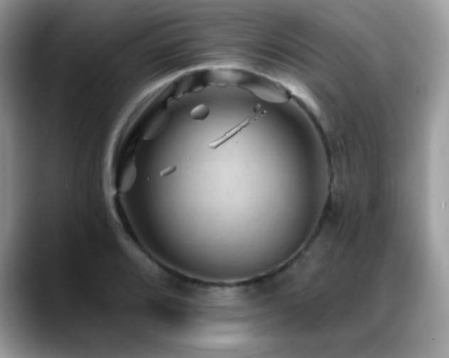 X0000088861080200706081148