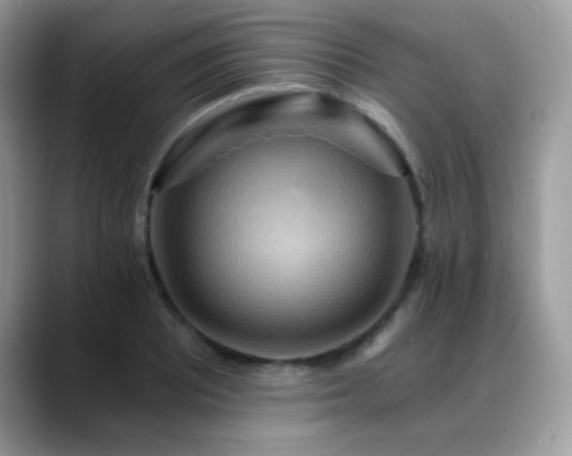 X0000088861081200706081148