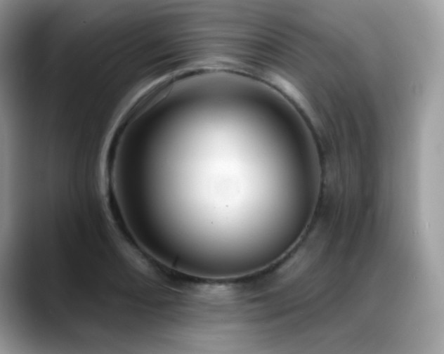 X0000088861082200706081148