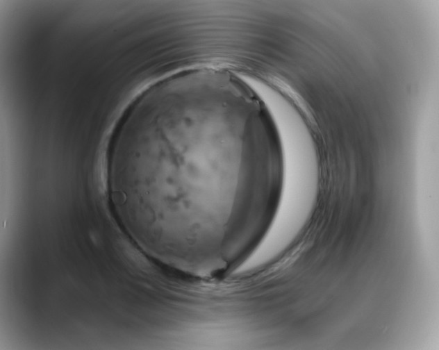 X0000088861083200706081148