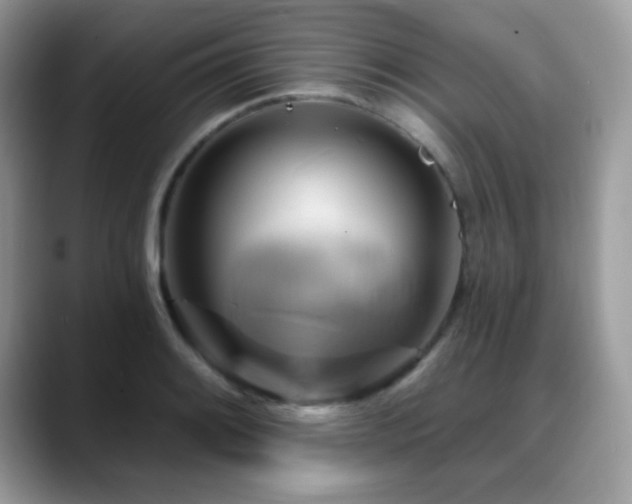 X0000088861084200706081148