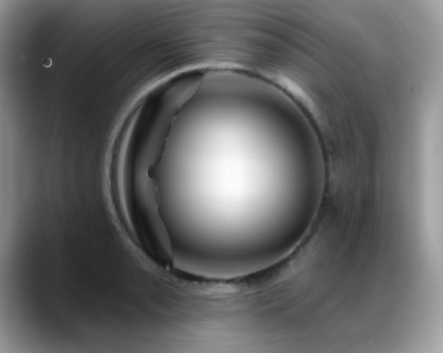 X0000088861085200706081148