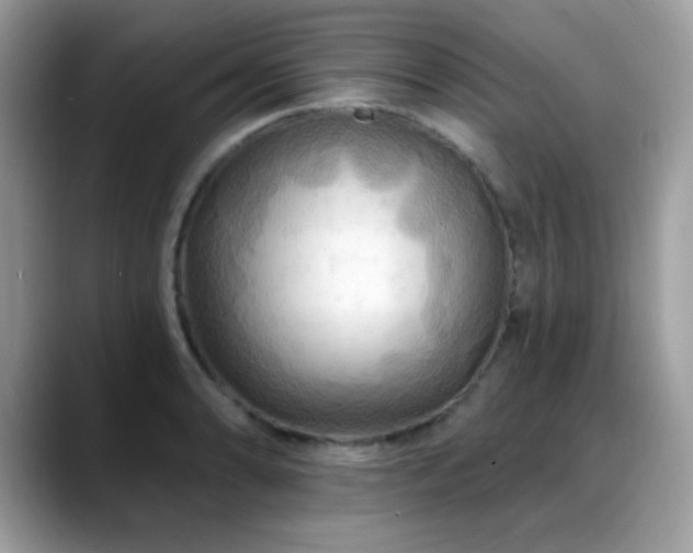 X0000088861086200706081148