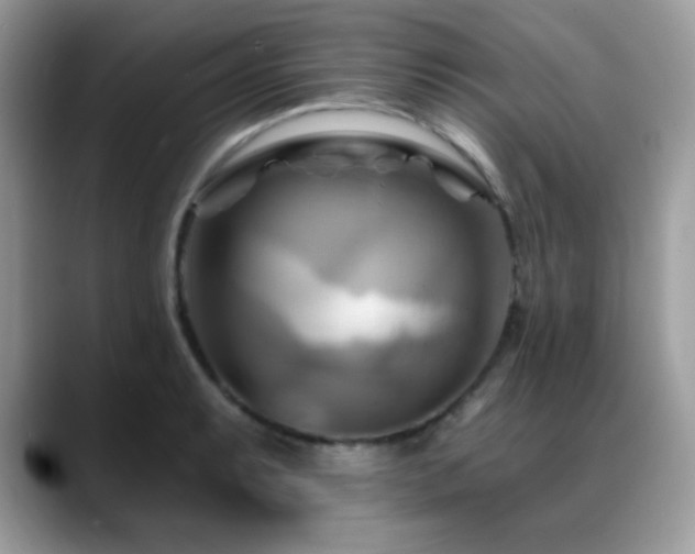 X0000088861087200706081148