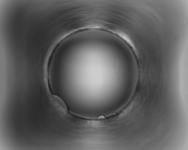 X0000088861088200706081148