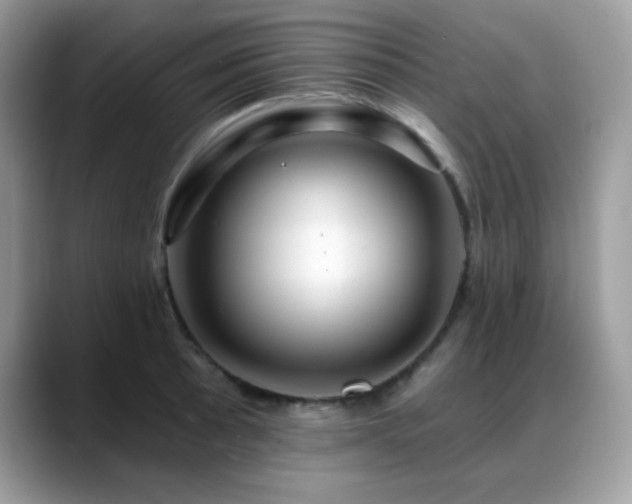 X0000088861089200706081148