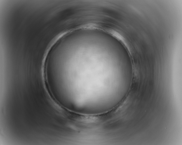 X0000088861090200706081148