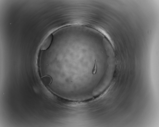 X0000088861091200706081148