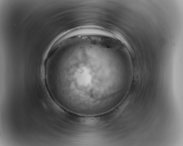 X0000088861092200706081148