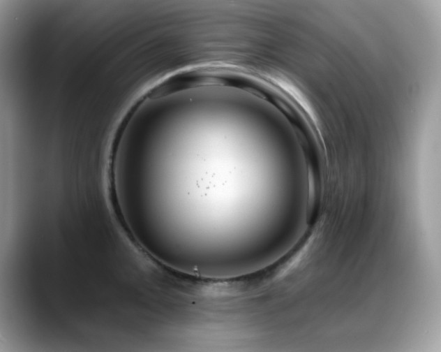 X0000088861093200706081148
