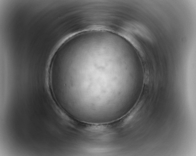 X0000088861094200706081148