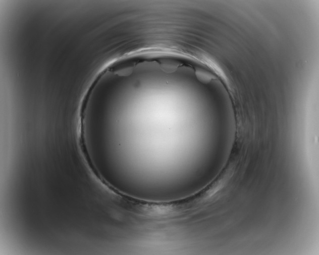 X0000088861095200706081148