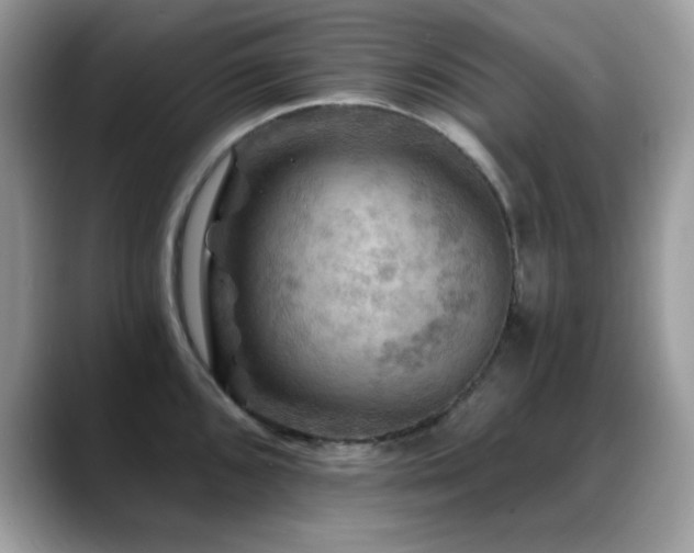 X0000088861096200706081148