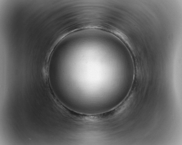 X0000088861097200706081148