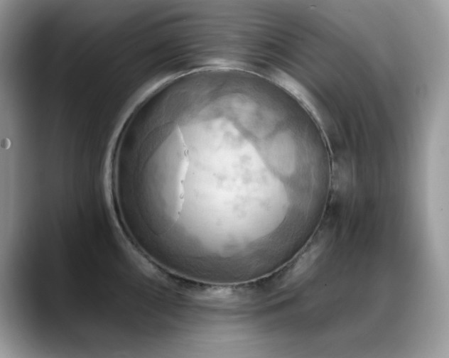 X0000088861098200706081148