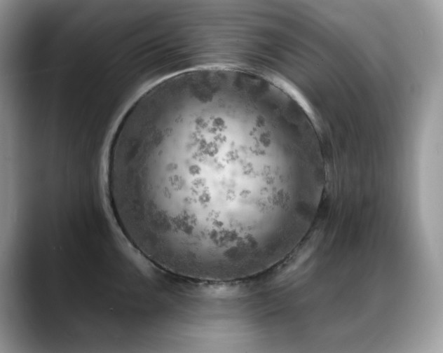 X0000088861099200706081148