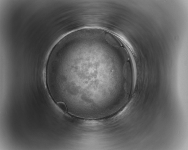 X0000088861100200706081148