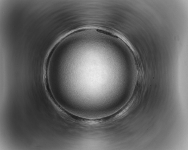 X0000088861101200706081148