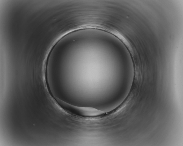 X0000088861102200706081148