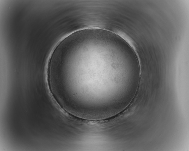 X0000088861104200706081148