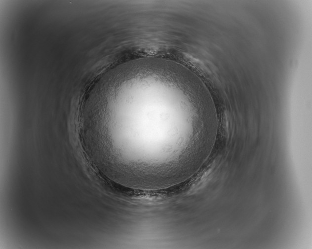 X0000088861105200706081148