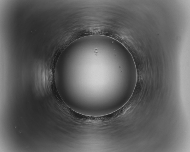 X0000088861106200706081148