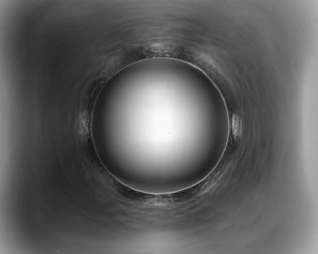 X0000088861107200706081148