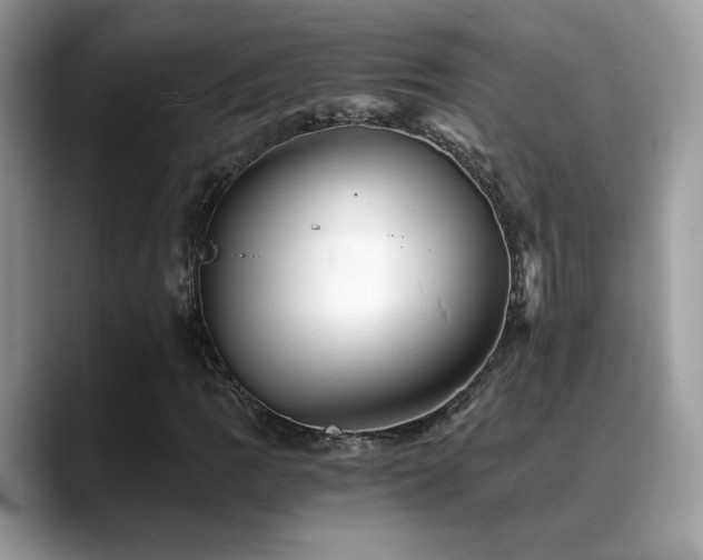 X0000088861109200706081148