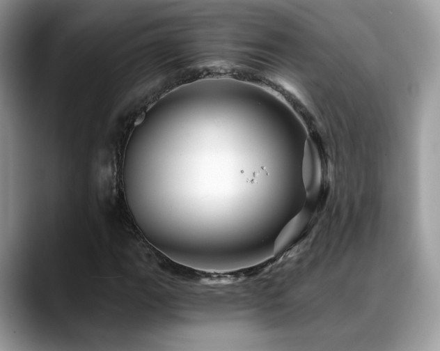 X0000088861111200706081148