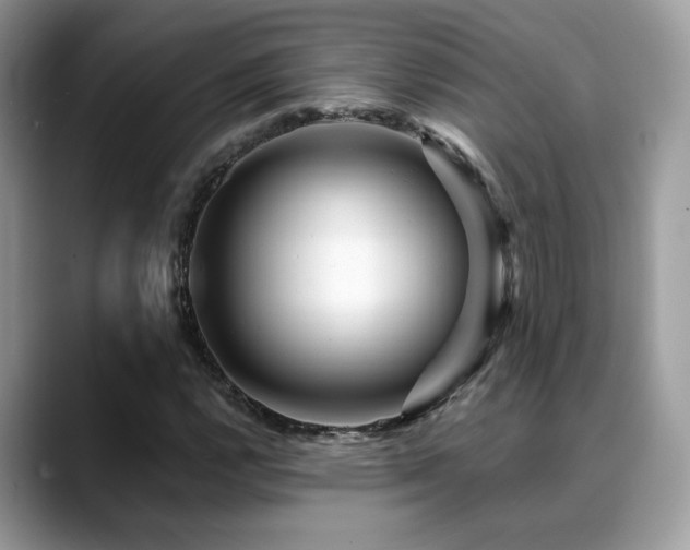 X0000088861112200706081148