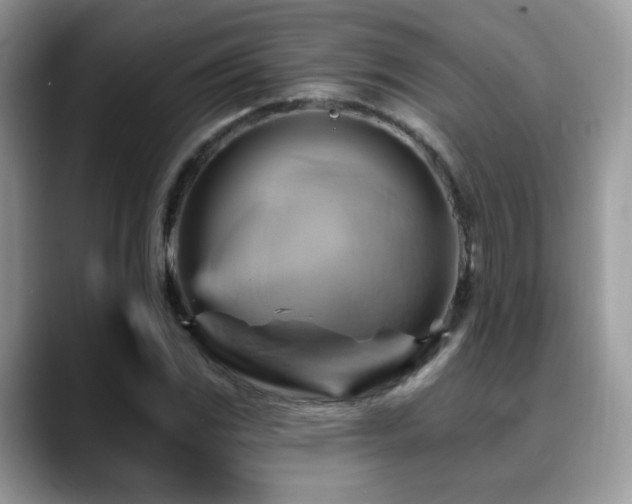 X0000088861117200706081148