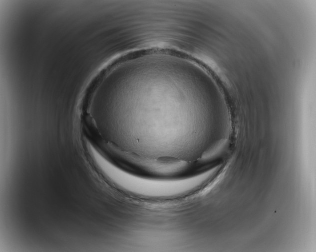 X0000088861118200706081148