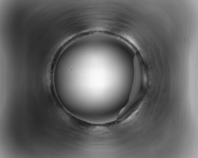 X0000088861119200706081148