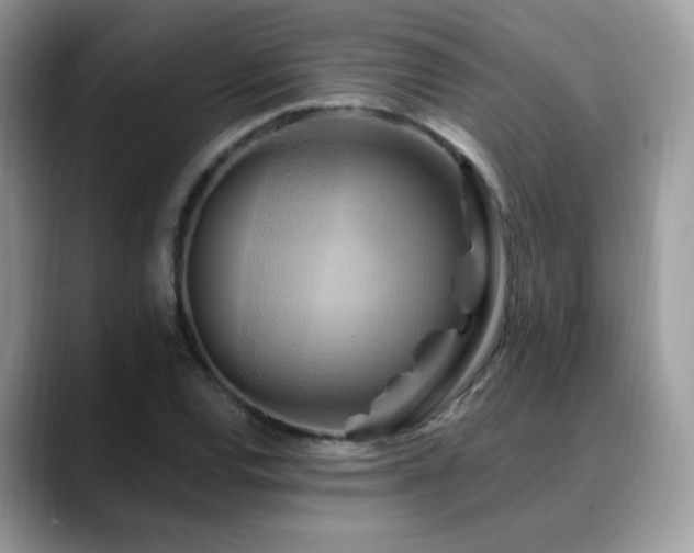 X0000088861120200706081148