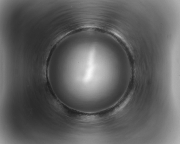 X0000088861121200706081148