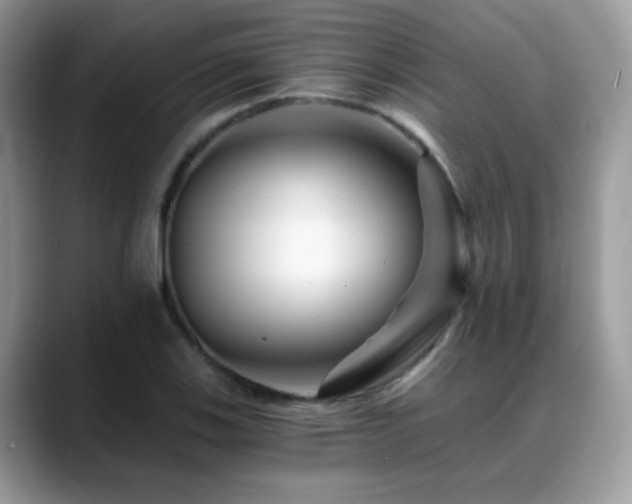 X0000088861123200706081148