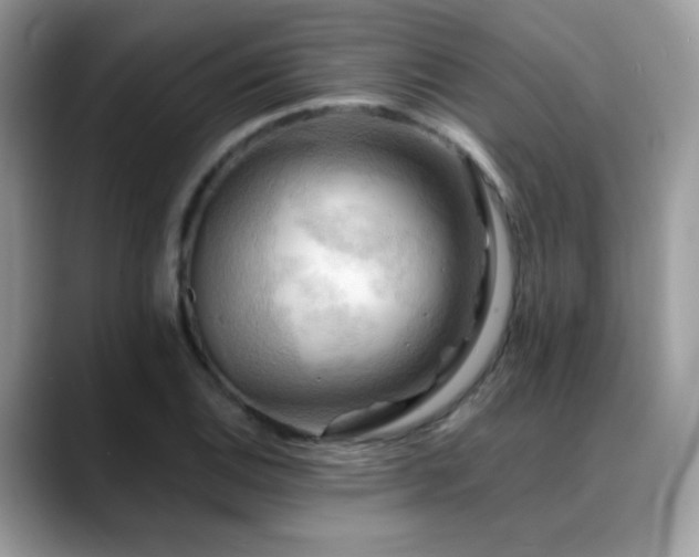 X0000088861124200706081148